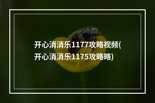 开心消消乐1177攻略视频(开心消消乐1175攻略略)