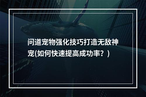 问道宠物强化技巧打造无敌神宠(如何快速提高成功率？)