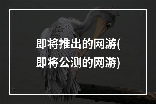 即将推出的网游(即将公测的网游)