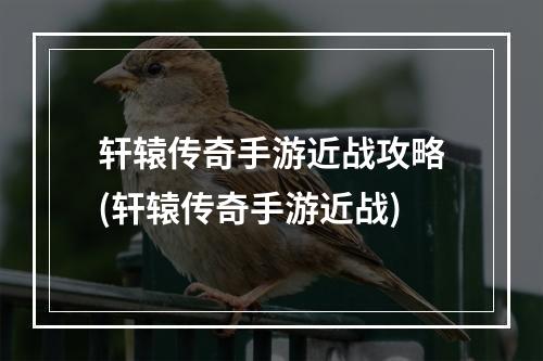 轩辕传奇手游近战攻略(轩辕传奇手游近战)