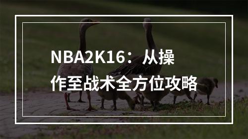 NBA2K16：从操作至战术全方位攻略