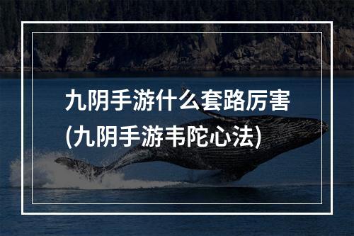 九阴手游什么套路厉害(九阴手游韦陀心法)