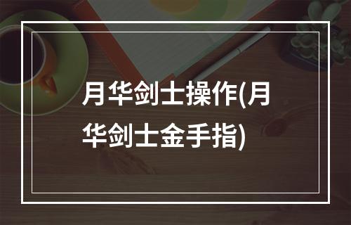 月华剑士操作(月华剑士金手指)