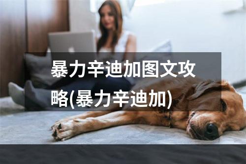 暴力辛迪加图文攻略(暴力辛迪加)