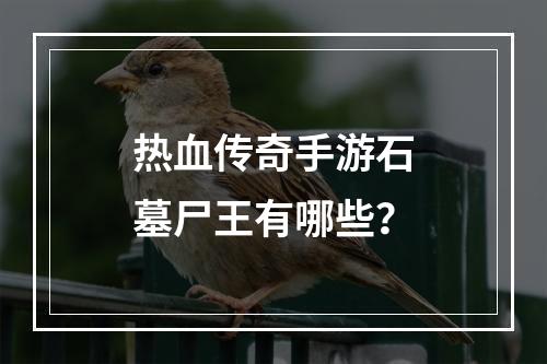 热血传奇手游石墓尸王有哪些？