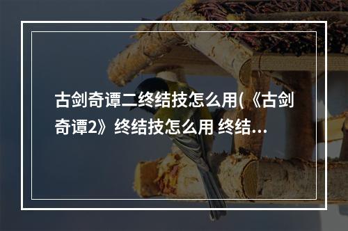 古剑奇谭二终结技怎么用(《古剑奇谭2》终结技怎么用 终结技使用技巧攻略  )