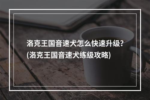 洛克王国音速犬怎么快速升级？(洛克王国音速犬练级攻略)