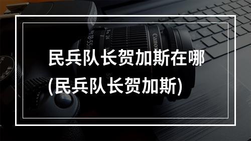 民兵队长贺加斯在哪(民兵队长贺加斯)