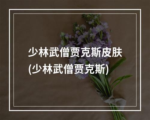 少林武僧贾克斯皮肤(少林武僧贾克斯)