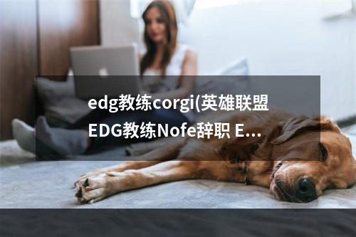 edg教练corgi(英雄联盟EDG教练Nofe辞职 EDG教练Nofe为何辞职)