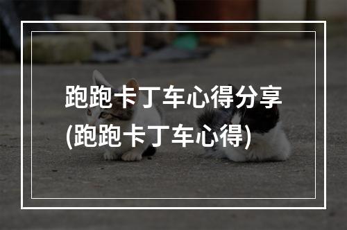 跑跑卡丁车心得分享(跑跑卡丁车心得)