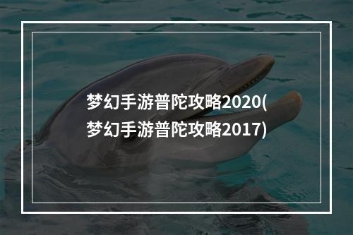 梦幻手游普陀攻略2020(梦幻手游普陀攻略2017)