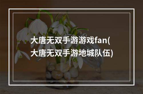 大唐无双手游游戏fan(大唐无双手游地城队伍)