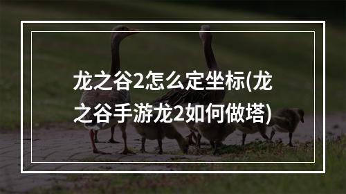 龙之谷2怎么定坐标(龙之谷手游龙2如何做塔)