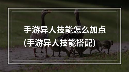 手游异人技能怎么加点(手游异人技能搭配)