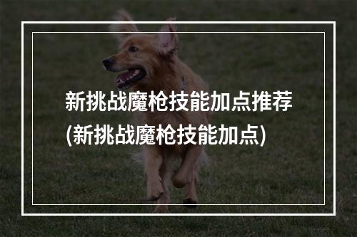 新挑战魔枪技能加点推荐(新挑战魔枪技能加点)