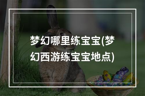 梦幻哪里练宝宝(梦幻西游练宝宝地点)