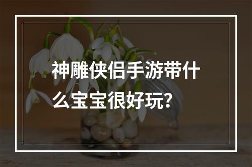 神雕侠侣手游带什么宝宝很好玩？