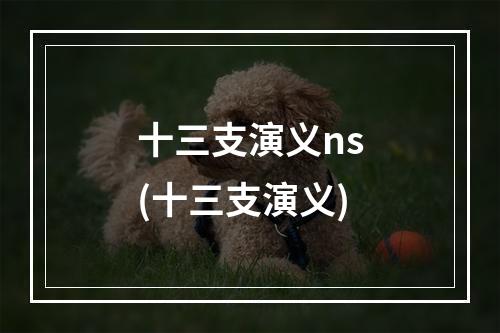 十三支演义ns(十三支演义)