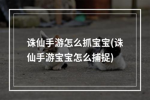 诛仙手游怎么抓宝宝(诛仙手游宝宝怎么捕捉)