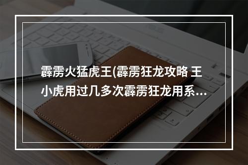 霹雳火猛虎王(霹雳狂龙攻略 王小虎用过几多次霹雳狂龙用系边个歹角)