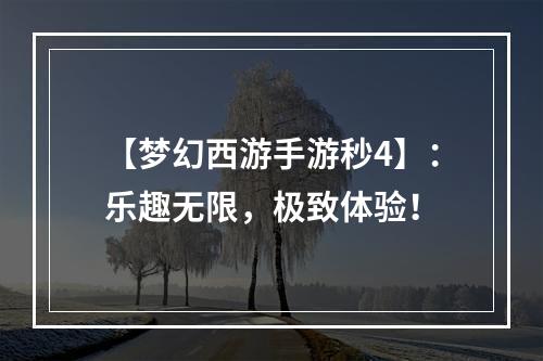 【梦幻西游手游秒4】：乐趣无限，极致体验！