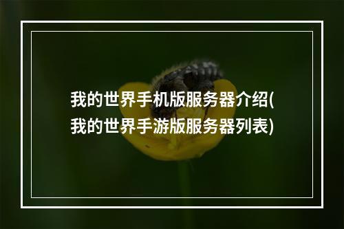 我的世界手机版服务器介绍(我的世界手游版服务器列表)