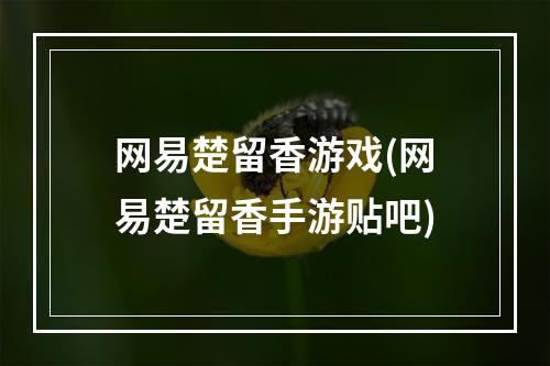 网易楚留香游戏(网易楚留香手游贴吧)