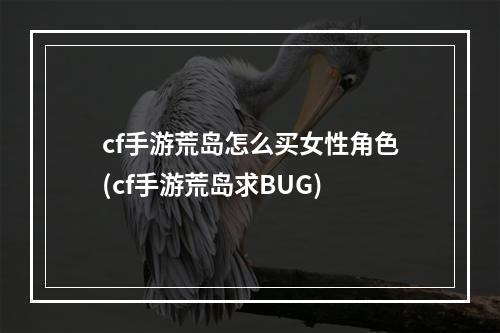 cf手游荒岛怎么买女性角色(cf手游荒岛求BUG)