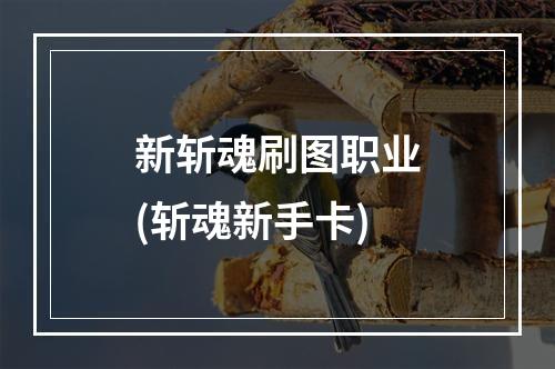 新斩魂刷图职业(斩魂新手卡)