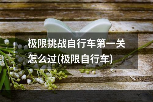 极限挑战自行车第一关怎么过(极限自行车)