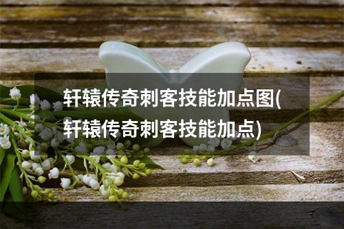 轩辕传奇刺客技能加点图(轩辕传奇刺客技能加点)