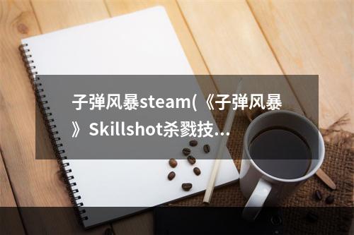 子弹风暴steam(《子弹风暴》Skillshot杀戮技术全收集方法解析)