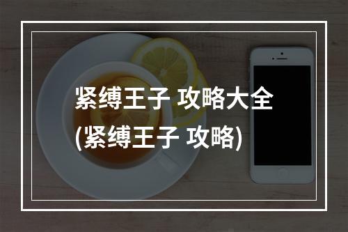 紧缚王子 攻略大全(紧缚王子 攻略)