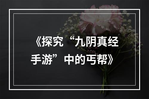 《探究“九阴真经手游”中的丐帮》