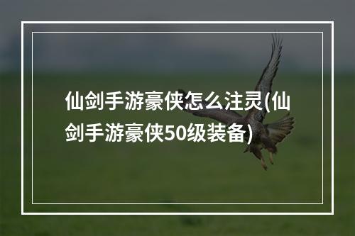 仙剑手游豪侠怎么注灵(仙剑手游豪侠50级装备)