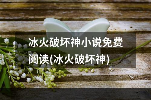 冰火破坏神小说免费阅读(冰火破坏神)