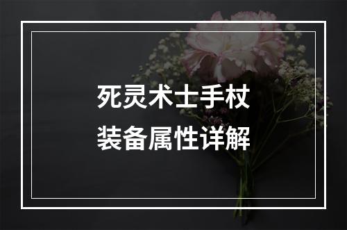 死灵术士手杖装备属性详解