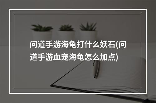 问道手游海龟打什么妖石(问道手游血宠海龟怎么加点)