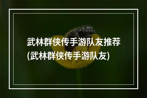 武林群侠传手游队友推荐(武林群侠传手游队友)