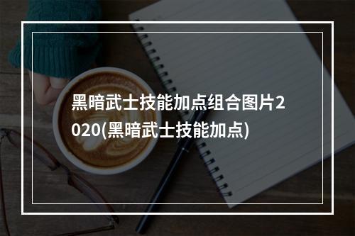 黑暗武士技能加点组合图片2020(黑暗武士技能加点)