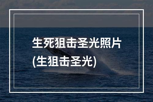 生死狙击圣光照片(生狙击圣光)