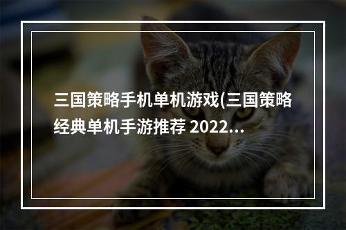 三国策略手机单机游戏(三国策略经典单机手游推荐 2022安卓所有三国策略单机)