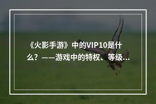 《火影手游》中的VIP10是什么？——游戏中的特权、等级、福利