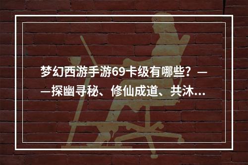 梦幻西游手游69卡级有哪些？——探幽寻秘、修仙成道、共沐岁月