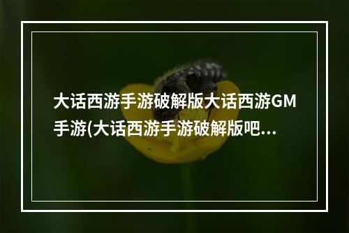 大话西游手游破解版大话西游GM手游(大话西游手游破解版吧)