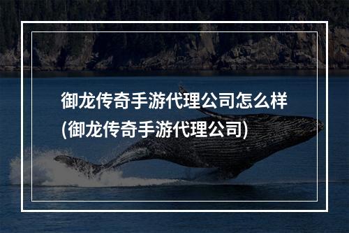 御龙传奇手游代理公司怎么样(御龙传奇手游代理公司)