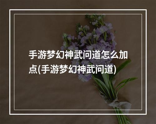 手游梦幻神武问道怎么加点(手游梦幻神武问道)