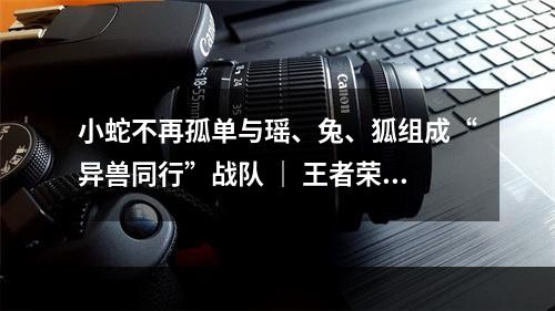 小蛇不再孤单与瑶、兔、狐组成“异兽同行”战队 ｜ 王者荣耀