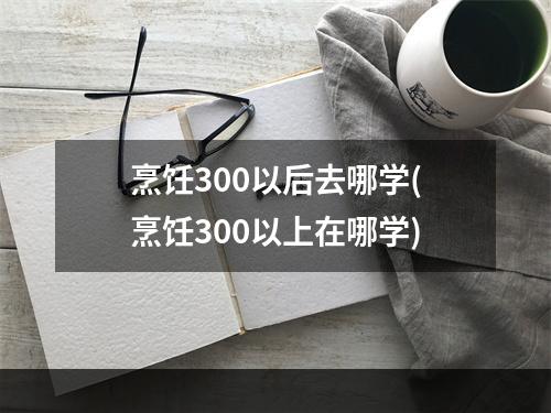 烹饪300以后去哪学(烹饪300以上在哪学)